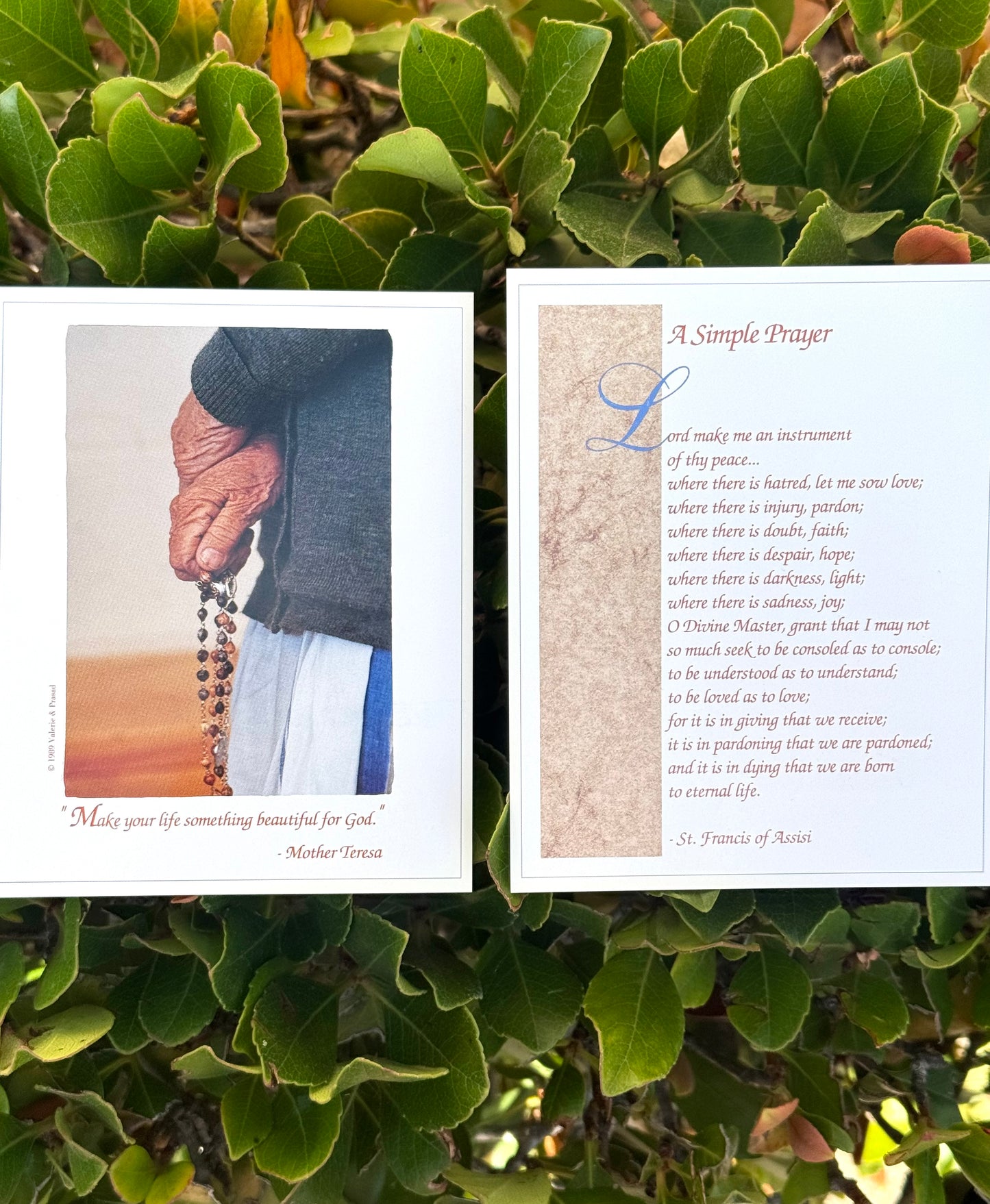 12 PC St Francis Prayer For Peace Prayer Card by Mother Teresa