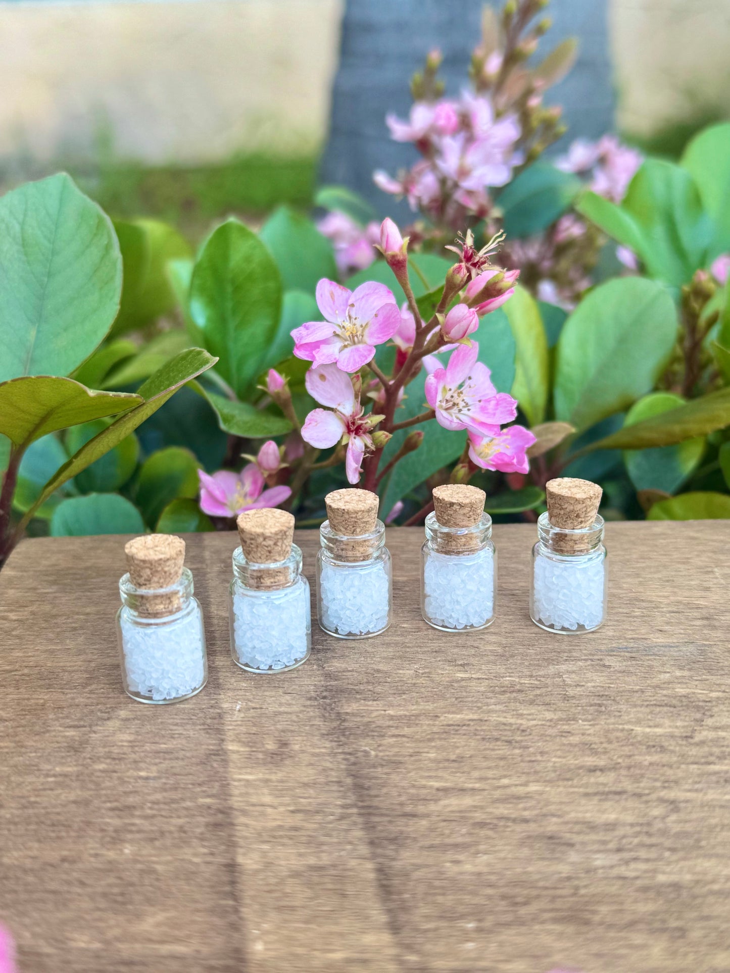 5 Vials of Exorcism Blessed Salts