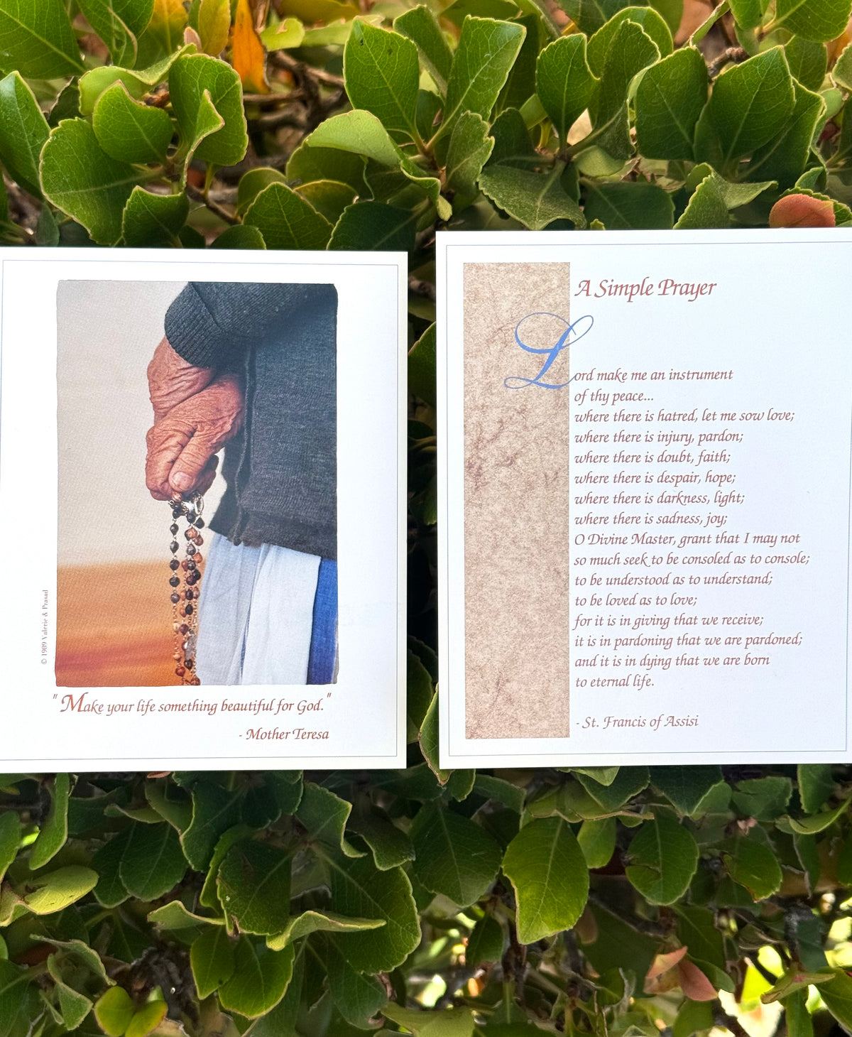 12 PC St Francis Prayer For Peace Prayer Card by Mother Teresa