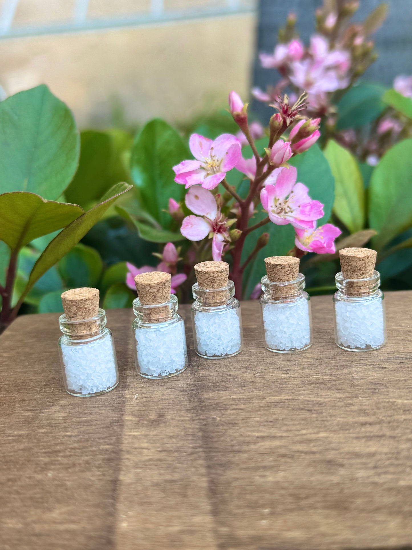 5 Vials of Exorcism Blessed Salts