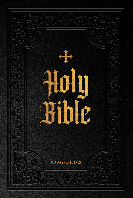 Douay-Rheims Bible (Deluxe Large Print)