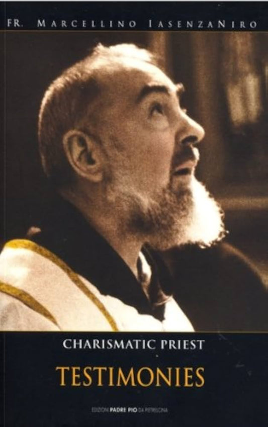 Charismatic Priest Testimonies  Father Marcellino Iasenzaniro