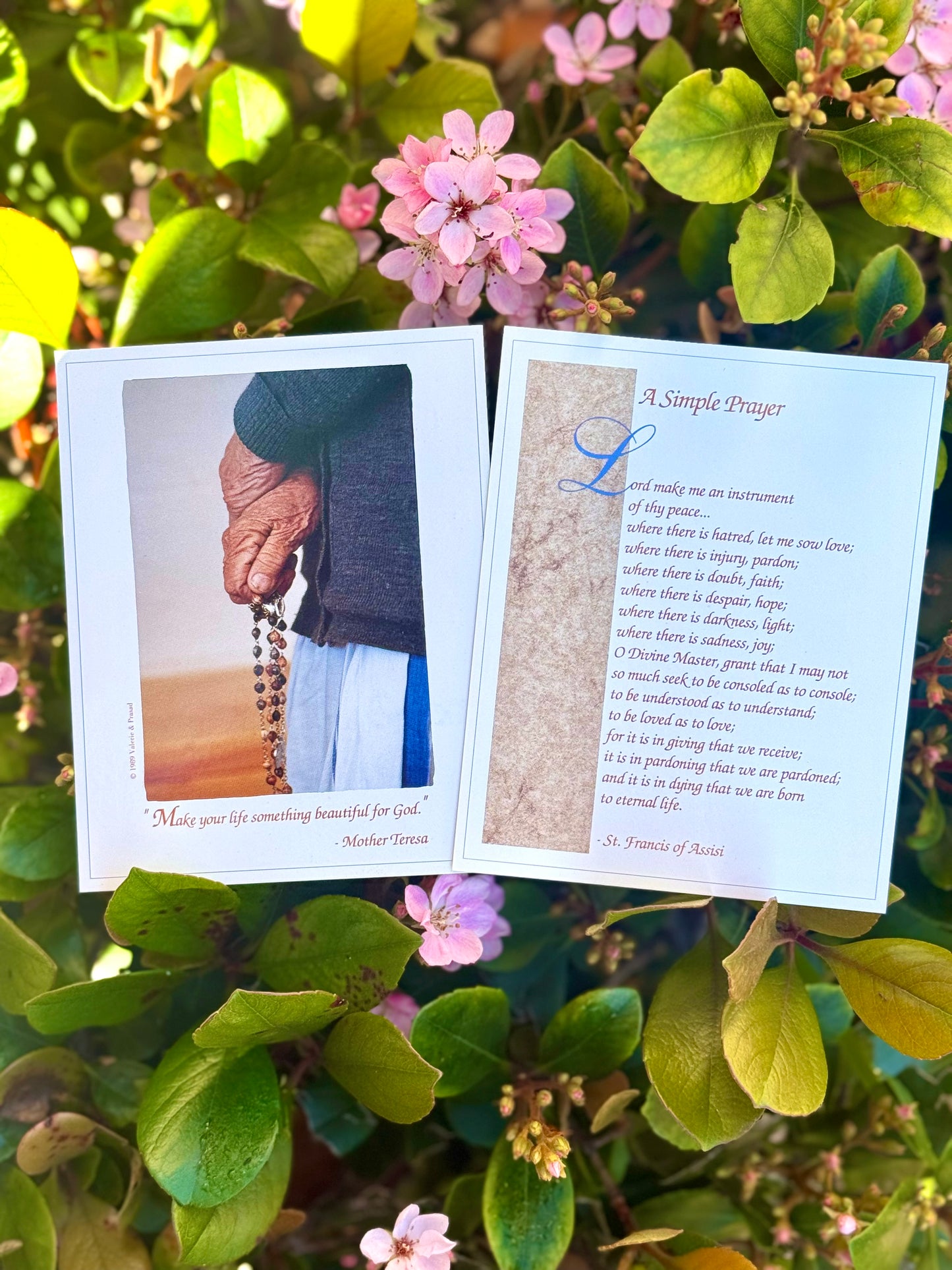 Blessed Mother Teresa Memorial Prayer Card 10 Piece Set